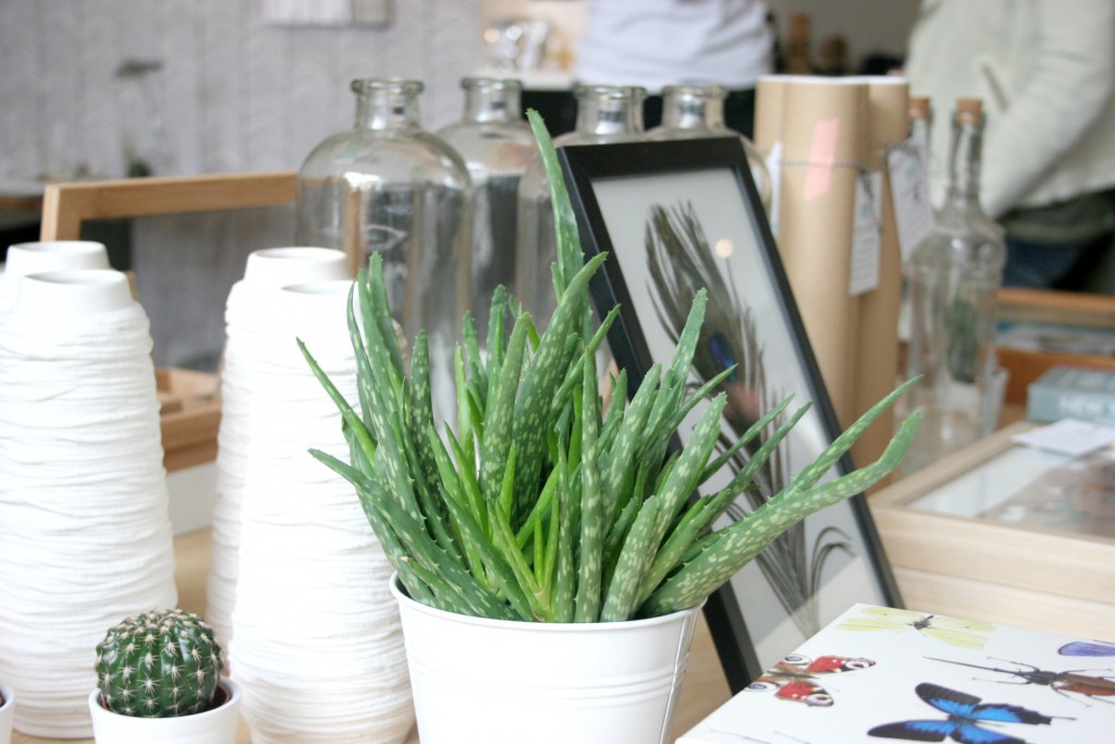 wonen in groningen - holbar concepstore - woonwinkels groningen - alleenpuur.nl