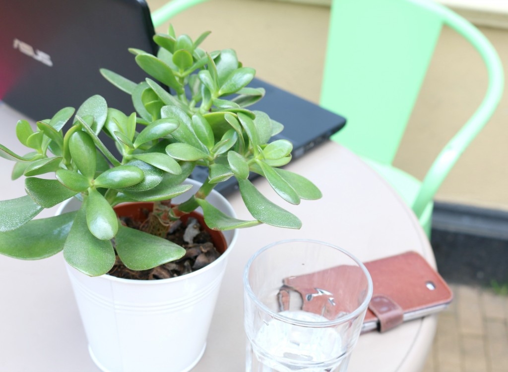 blogtips-gratisblogtips-hoestartikmetbloggen-startenmetbloggen-alleenpuur.nl