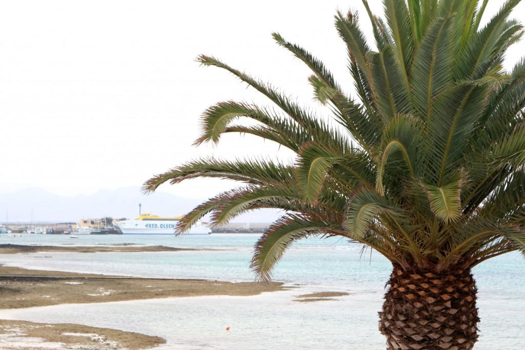 fuerteventura2016-beachcanaryislands-vintageandbeauty.com